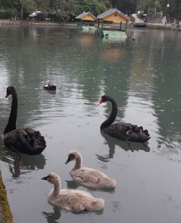 Евгений Кончаков — фото 4